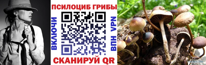 Галлюциногенные грибы GOLDEN TEACHER  Купить закладки  Серафимович 